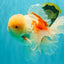 FLUFFY AAA Grade Jumbo Boradtail Red White Oranda Male 8.5 inches #072426OR_02