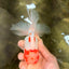 A Grade Red White Oranda Male 5-5.5 inches #102326OR_22