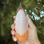AAA Grade Sakura Ranchu Female 5.5-6 inches #102326RC_02