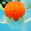 A Grade Red Cap Oranda Male 5.5 inches #062725OR_21