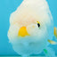 A Grade DUCKY White LionQueen 4.5-5 inches #122724LC_14