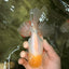 A Grade White Oranda Male 6 inches #100926OR_16