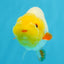 Sunny Lemonhead Lionchu Male 4-4.5 inches #072525LC_04
