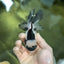 A Grade Panda Oranda Male 4.5 inches #010325OR_08