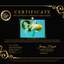 A Grade Marble Oranda Male 6 inches #062626OR_33