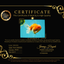 CHONKY A Grade Sakura Oranda Male 6 inches #070326OR_13
