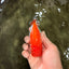 A Grade Red White LionKing 4.5 inches #070326LC_36