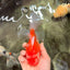 A Grade Red White Oranda Male 6 inches #071726OR_25