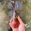 A Grade Calico Oranda Male 6.5-7 inches #082126OR_14