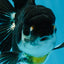 Panda Oranda Female 5-5.5 inches #053025OR_29