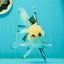 Butterfly Tail High Dorsal Fin Tricolor Oranda Female 5 inches #1018OR_19