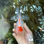 A Grade STUNNING Red White Oranda Male 5.5-6  inches #051625OR_25