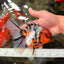 CHUNKY AAA Grade Calico Oranda Male 6-6.5 inches #070626OR_17