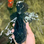 GODZILLA AAA Grade Black Oranda Male 6.5-7 inches #101626OR_18