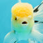 AAA Grade Lemonhead Oranda Male 5 inches #0510OR_09