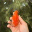 Red White Lionchu Female 4 inches #081426LC_19