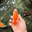 A Grade Orange White LionQueen 4.5-5 inches #072426LC_35