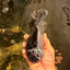 SPECIAL A Grade Apache Oranda Female 6-6.5 inches #050826OR_05