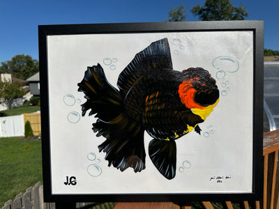 [FREE SHIPPING] Handcrafted Tricolor Oranda 16x20 Painting - One-of-a-Kind Artwork from Jimmy’s Collection