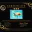 AAA Grade Marble Oranda Male 6.5-7 inches #070326OR_09