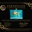 A Grade Tancho Sakura Oranda Male 5.5-6 inches #070326OR_15