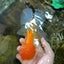 Orange White Oranda Female 5.5 inches #071125OR_07