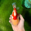 CHUBBY A Grade Red White Yuanbao Male 6 inches #041026YB_26