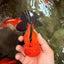 CHUBBY AAA Grade Apache Oranda Male 5 inches #082826OR_10