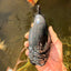 JAMES BOND AAA Grade Black Ranchu Female 6 inches #100926RC_34
