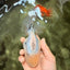 A Grade Marble Oranda Male 5.5-6 inches #062626OR_31