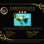 AAA Grade Calico Oranda Male 6 inches #070326OR_11
