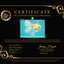 A Grade Red White Oranda Male 5.5 inches #062626OR_36