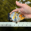 CHUBBY AAA Grade Chonky Special Tricolor Tiger LionQueen Female 4-4.5 inches #061926LC_12