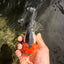 A Grade Red White Oranda Male 5-5.5 inches #051526OR_03