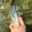 A Grade Marble Oranda Male 5-5.5 inches #050126OR_11