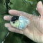 Black Tancho Panda Oranda Female 3.5 inches #110124OR_07