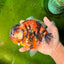 UNIQUE AAA Grade Marble Tiger Yuanbao Male 5.5-6 inches #041026YB_27