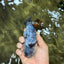 A Grade Tiger Ranchu Female 5-5.5 inches #073126RC_12