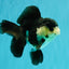 UNIQUE Panda Oranda Female 5-5.5 inches #041726OR_09