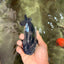 A Grade Black Ranchu Male 5-5.5 inches #071726RC_07