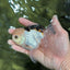 AAA Grade Tricolor Oranda Male 4.5-5 inches #112924OR_17