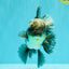 AAA Grade Kirin Jade Head Oranda Male 6 inches #070626OR_20