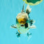 AAA Grade Super Special Marble Kirin Oranda Male 6 inches #061926OR_16