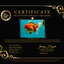 A Grade Strong Body Structure Red White Oranda Male 5-5.5 inches #062626OR_27