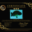 SPECIAL AAA Grade Strong Body Structure Black Cooper Ranchu Male 4.5 inches #061926RC_08
