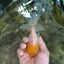 A Grade Lemonhead Oranda Male 5-inches #091225OR_28