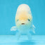 A Grade Snow White Sakura Ranchu Male 5.5 inches #110725RC_15