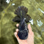 CHUNKY AAA Grade Godzilla Apache Oranda Male 6.5 inches #031326OR_02