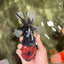 CHONKY AAA Grade Red Head Kirin Oranda Male 6-6.5 inches #072426OR_18
