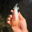 White Lionchu Female 4.5-5 inches #051526LC_15
